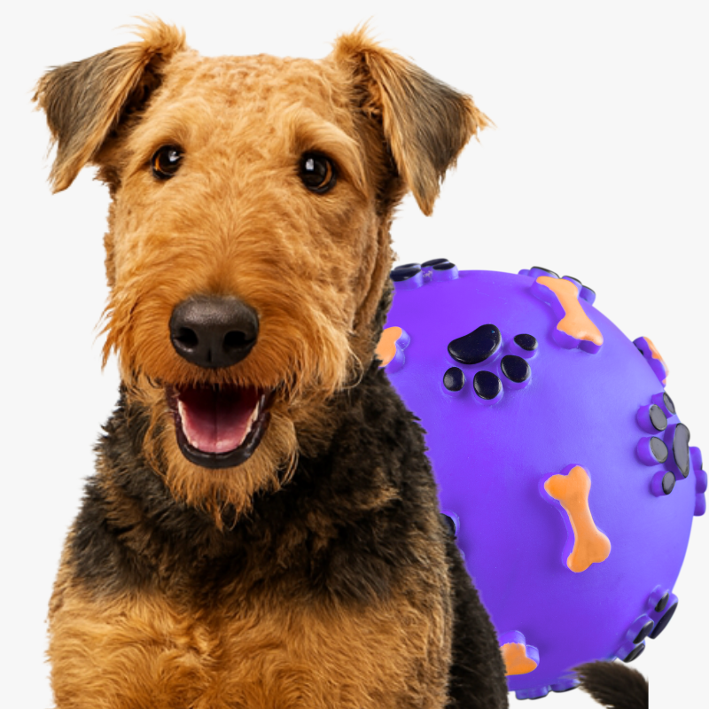 Liannes Kennel Airedale 
